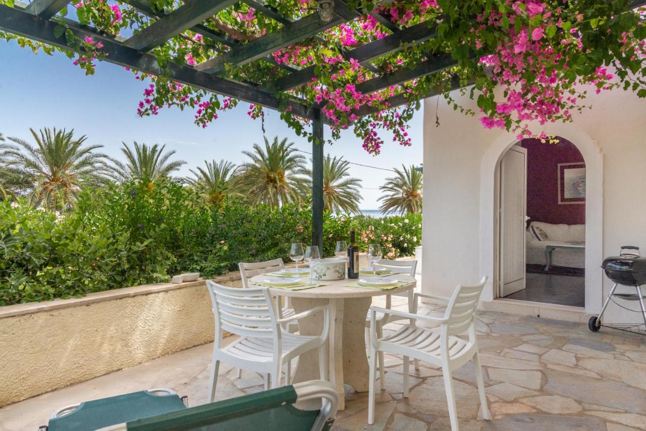 Bougainvillea House In Crete Sitia  Dış mekan fotoğraf
