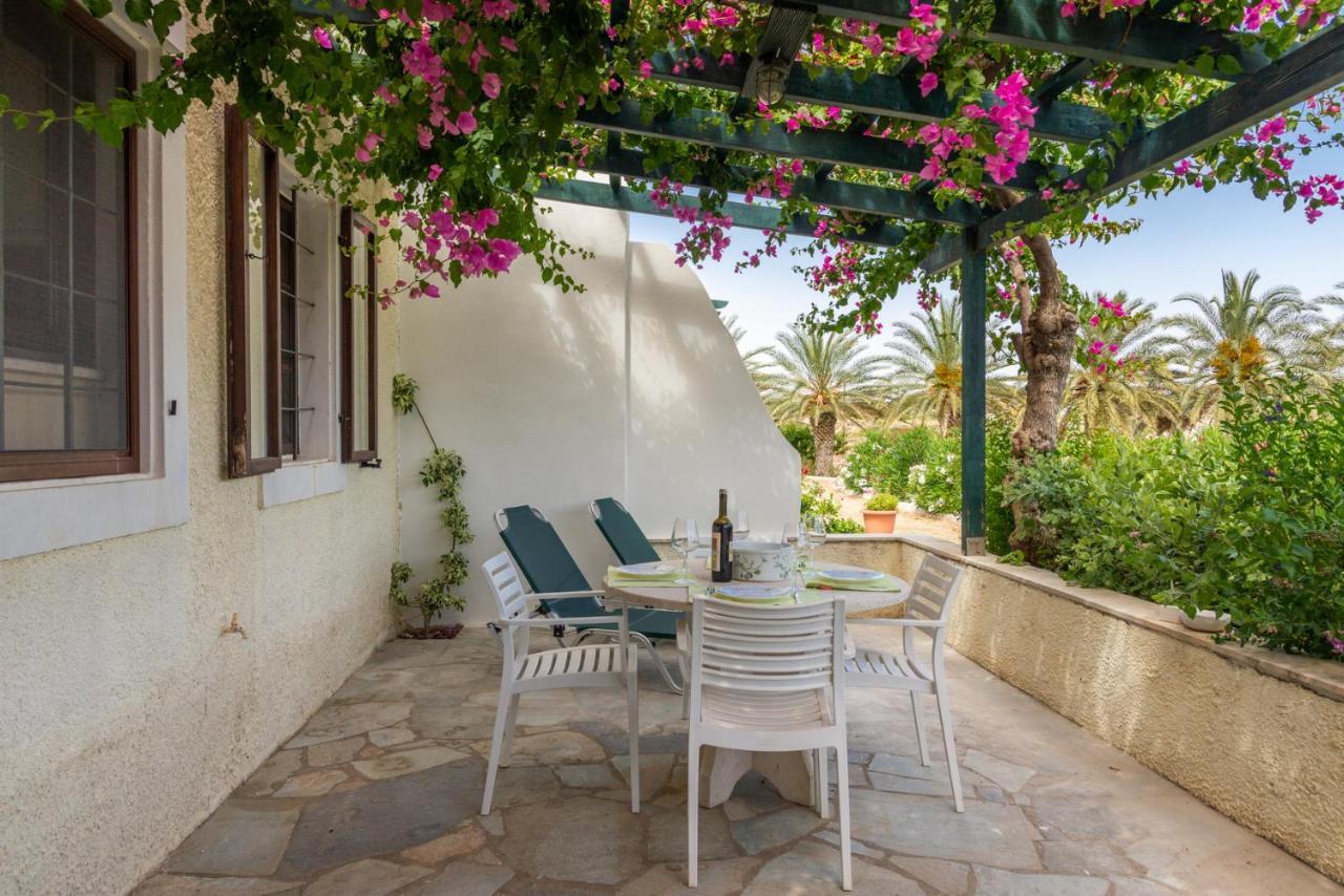 Bougainvillea House In Crete Sitia  Dış mekan fotoğraf